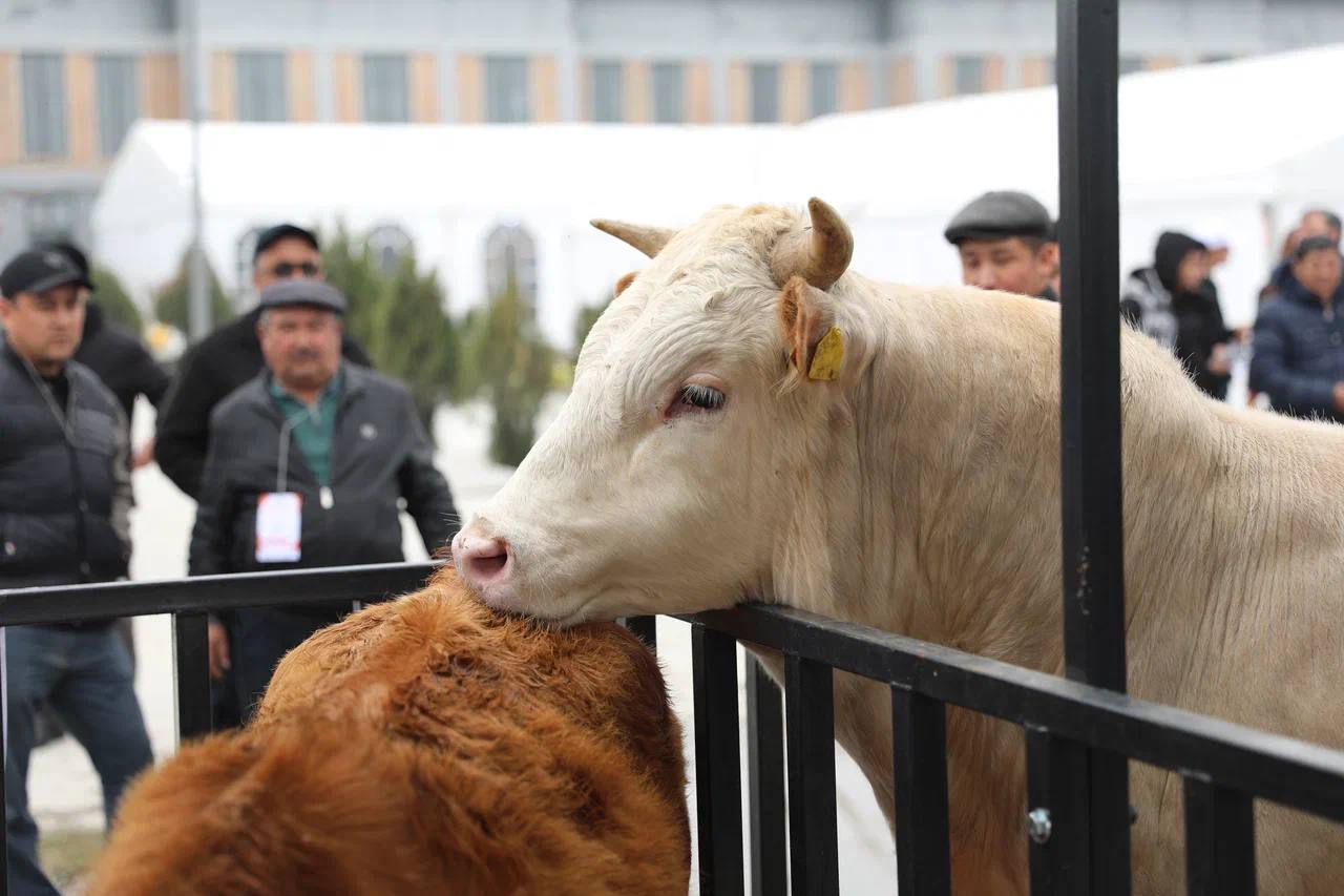 photo 2026 03 04 15 23 07